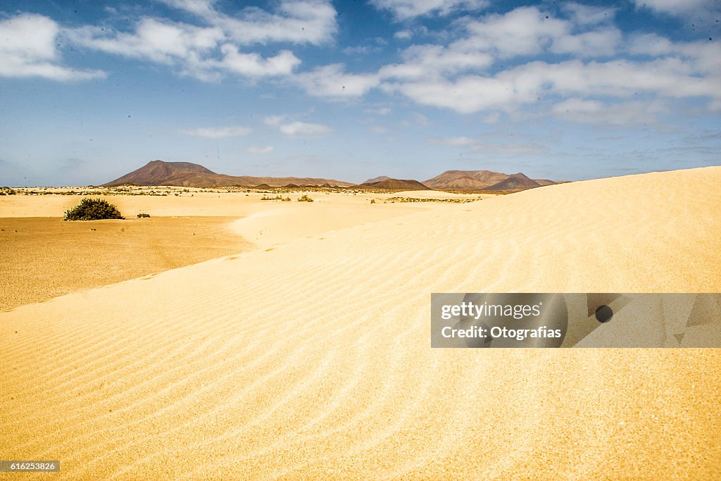 Dunas_corralejo