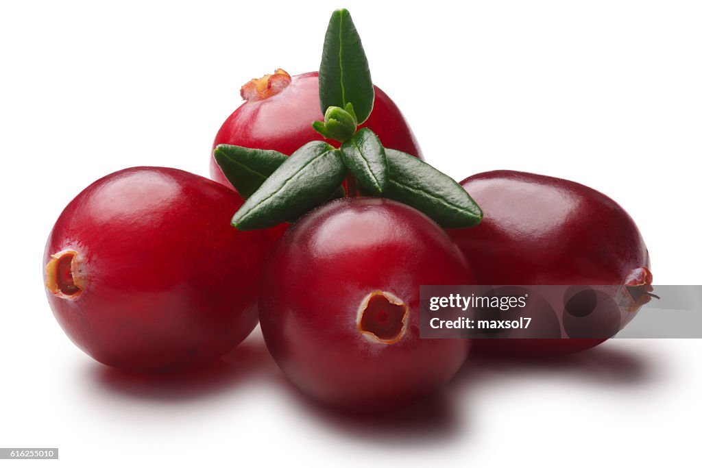 Pile of 4 cranberries with leaves, paths
