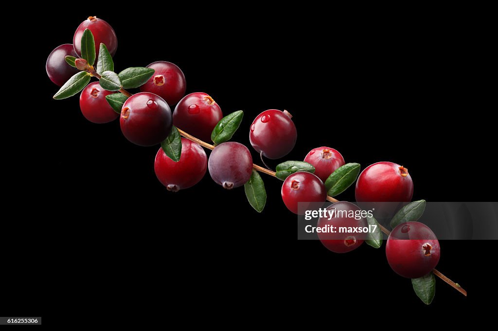 Cranberry branch composition, clipping paths