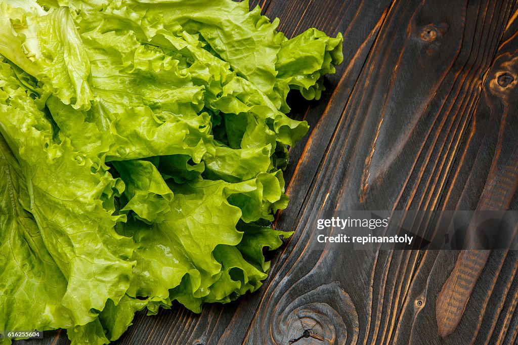 Fresh salad lettuce on wooden background