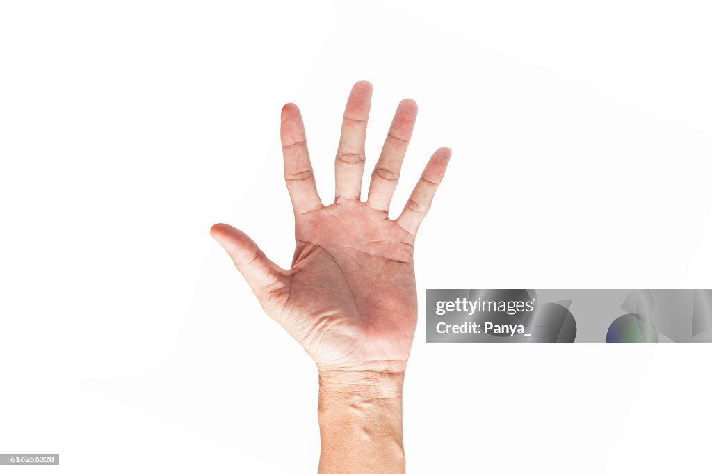 Hand isolated on white background.