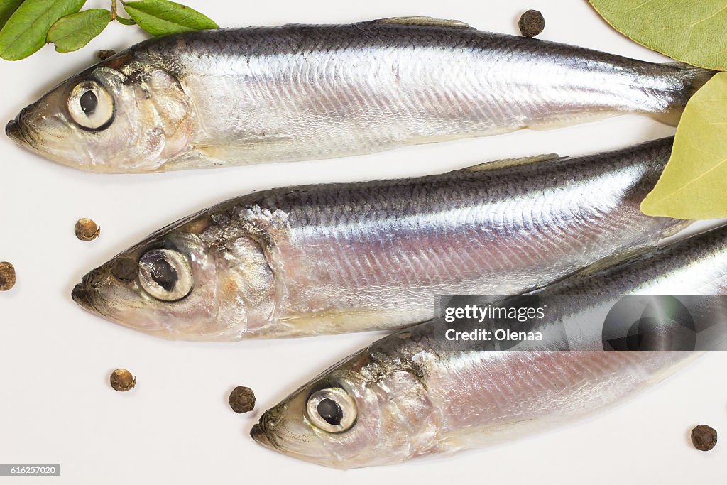 Marine fish herring on a white background