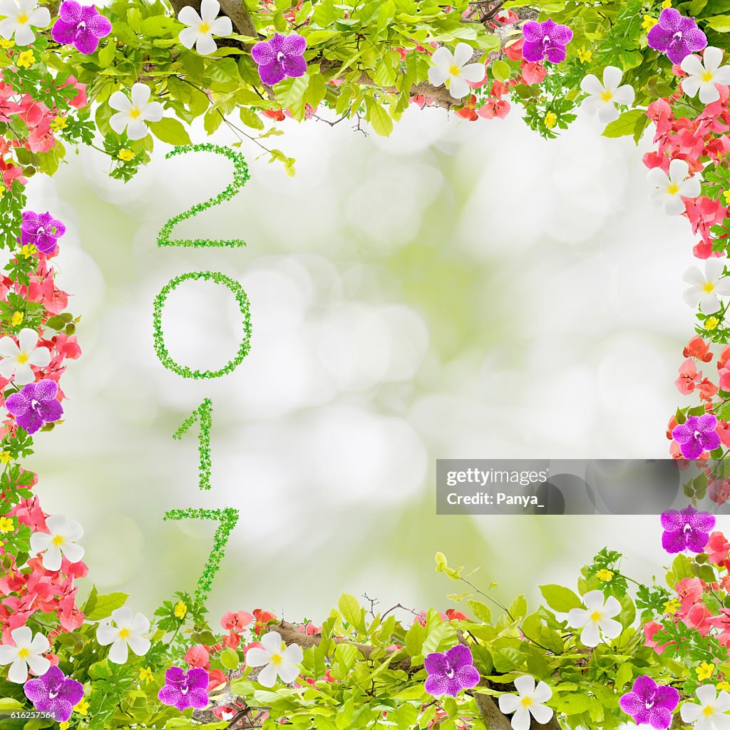 Beautiful green leaves frame with flower and 2017 year