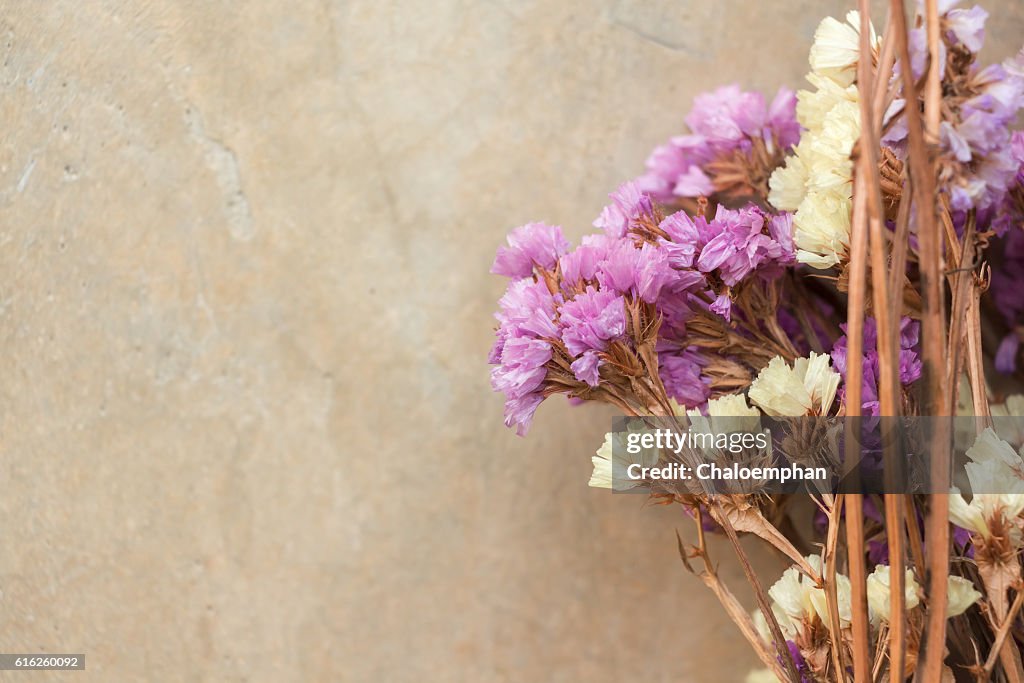 Dried flower can use for background