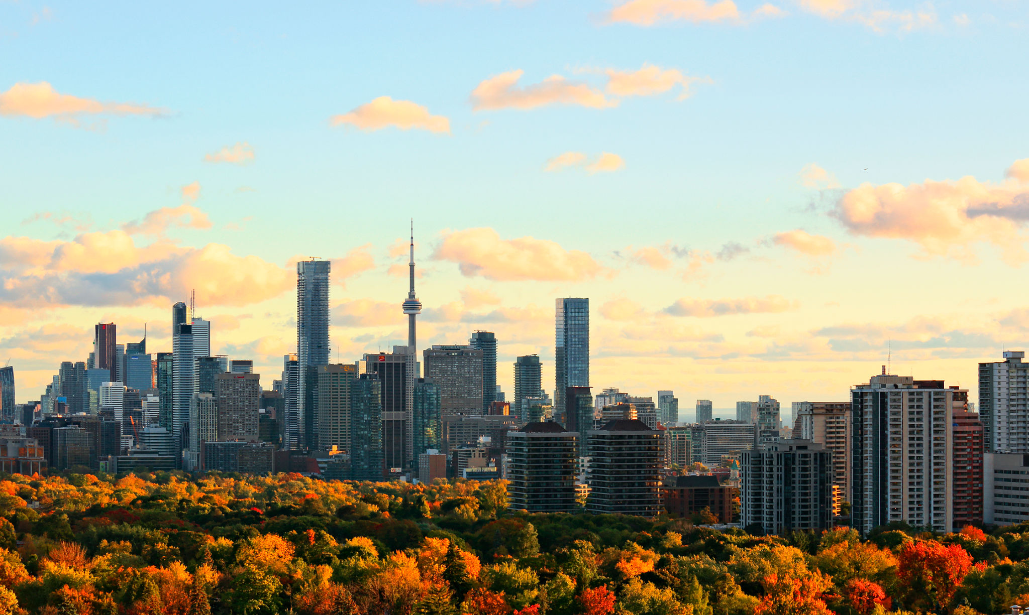 autumn workplace