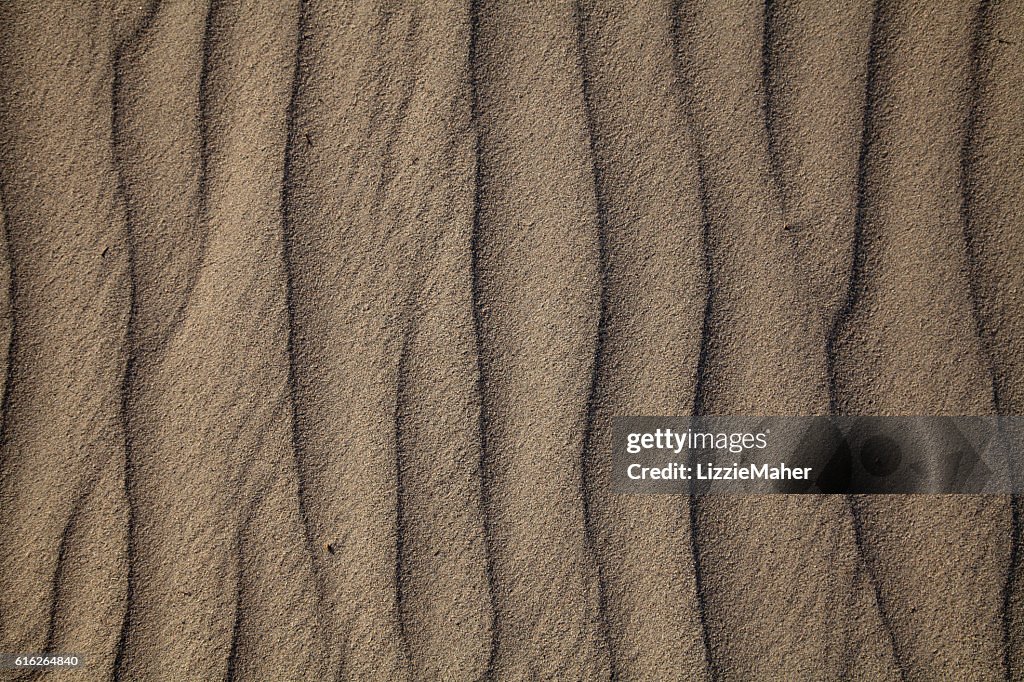 Sand Ripples