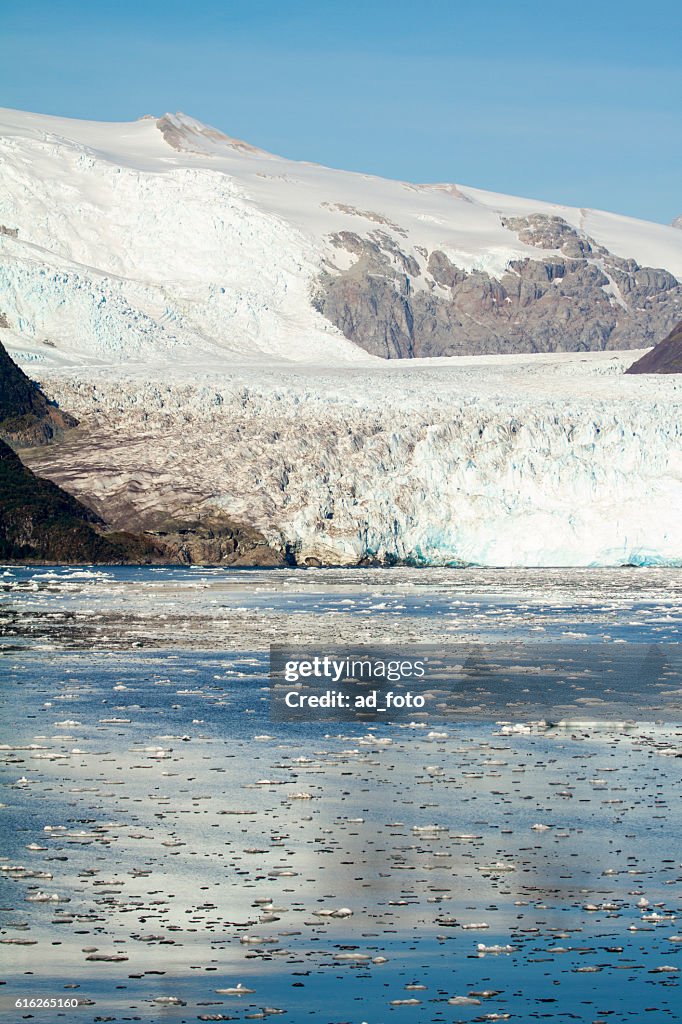 Chile - Amalia Glacier Landscape