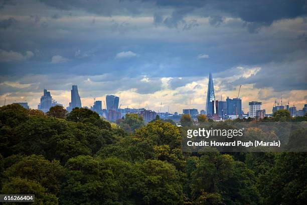 urban, rural and country landscapes of richmond park, london, uk - london park stock pictures, royalty-free photos & images
