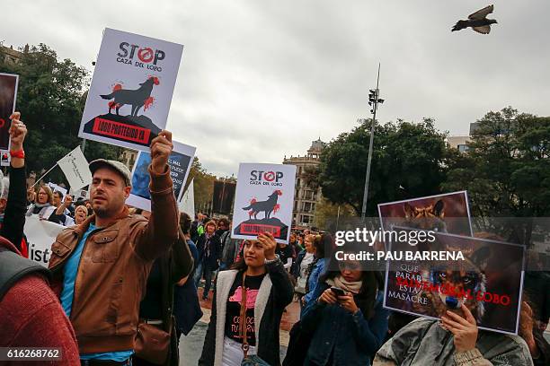 Save Wolves Protest 32 Stop Wolf Hunting Stock Photos, High-Res Pictures, and Images ...