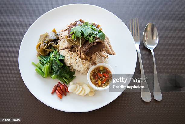 overhead view of rice with roasted pork gravy on plate - char siu pork stock pictures, royalty-free photos & images