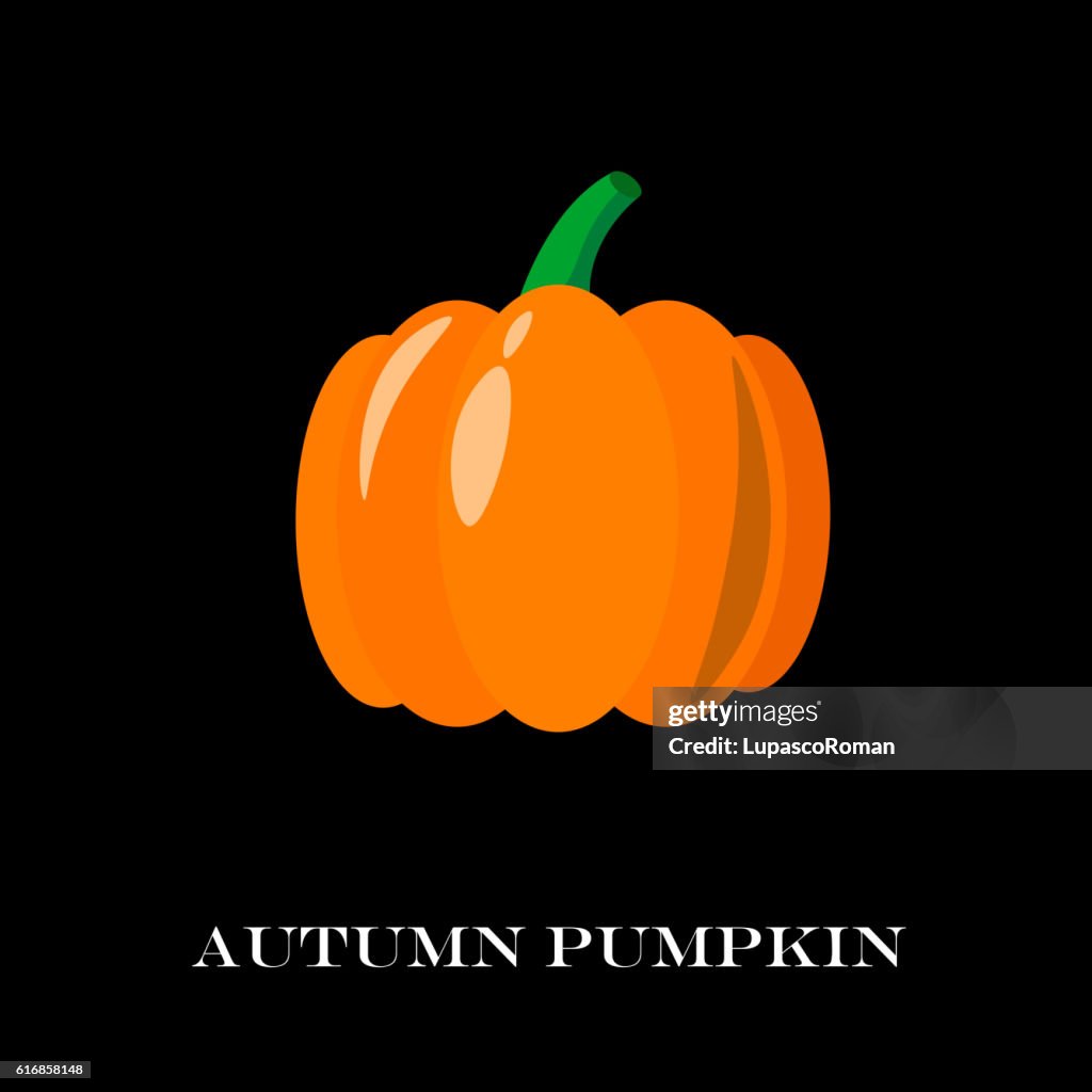 Pumpkin Isolated. Flat and Cartoon Design Style. Vector Illustration