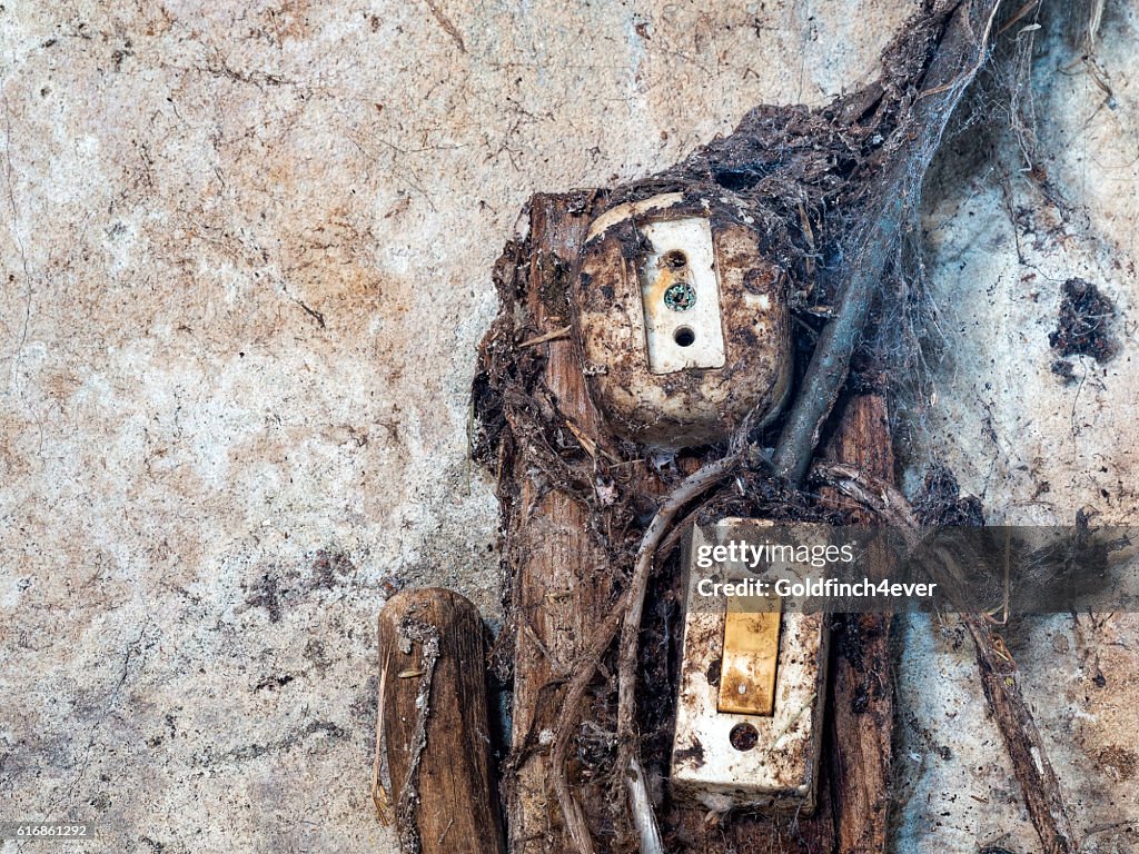 Old electrical wiring and switch.