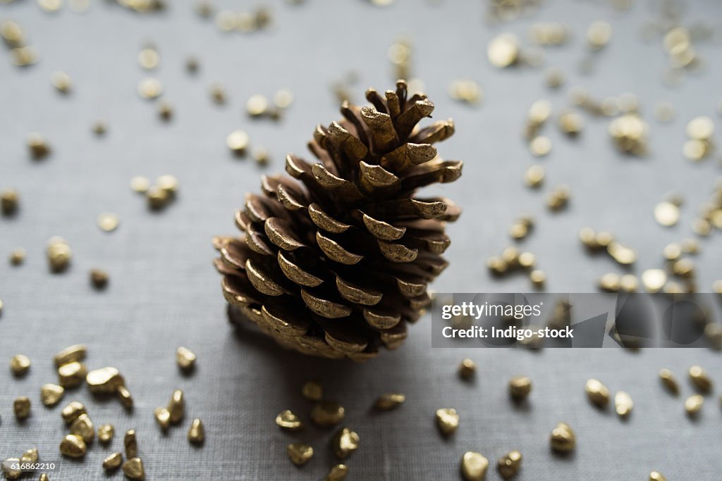 Christmas Pine Cone