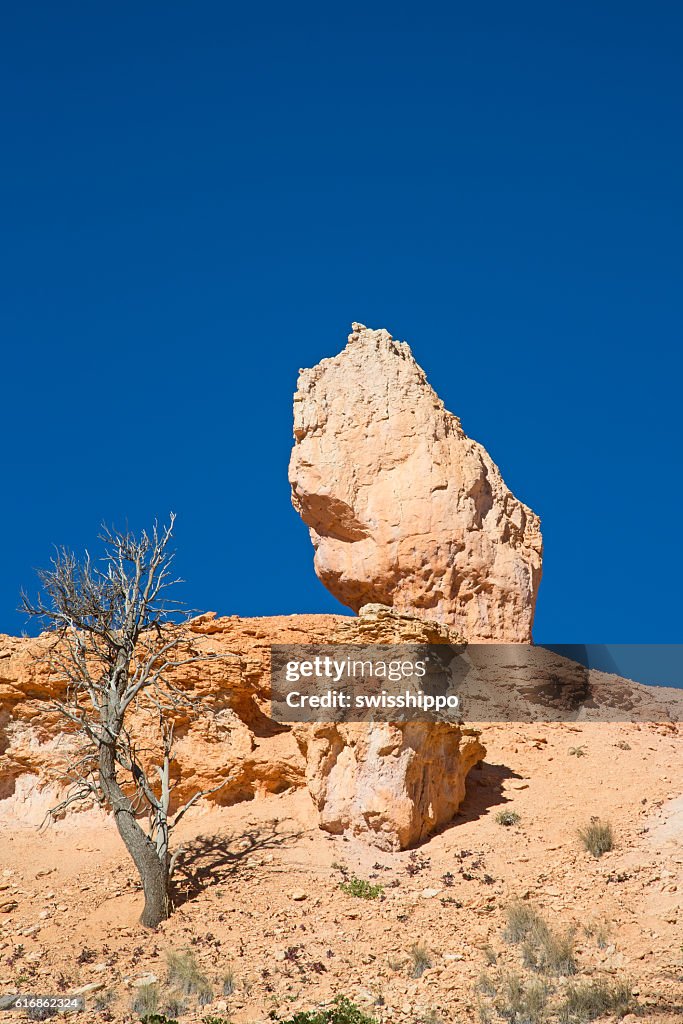 Bryce canyon