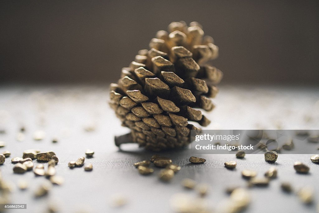 Weihnachten Pine Cone