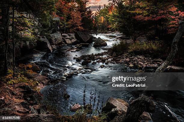 beautiful mountain river in ontario - canada - ontario canada stock pictures, royalty-free photos & images