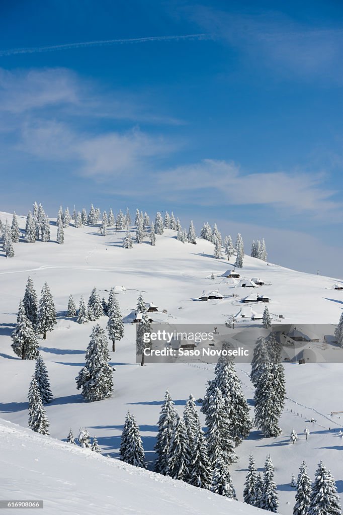 Alpine Village Covered With Snow