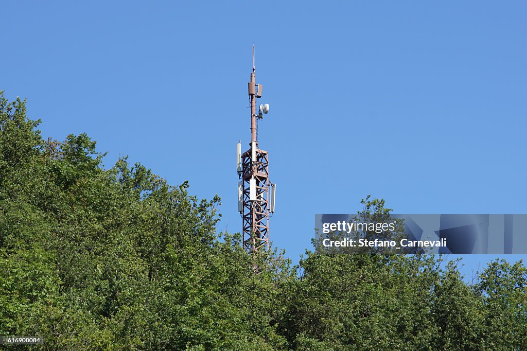 Cell tower n the woods