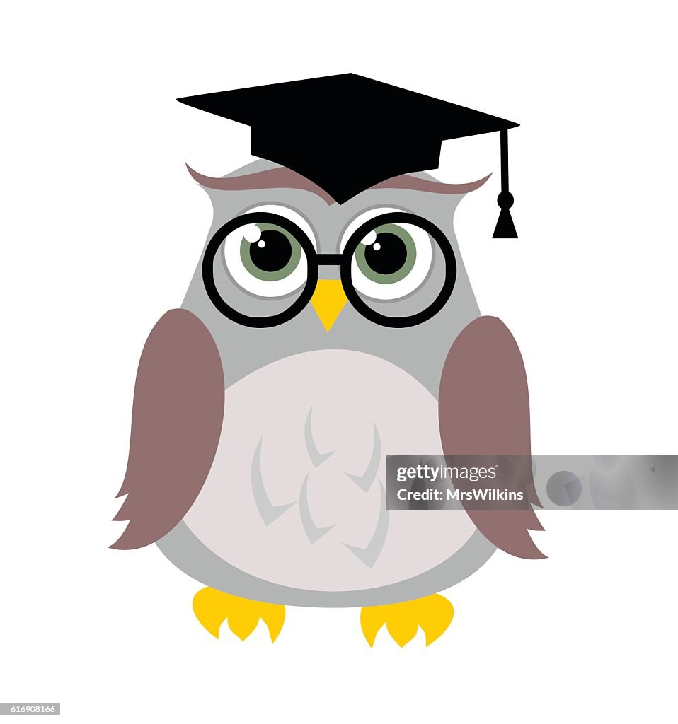 Cute education owl vector illustration
