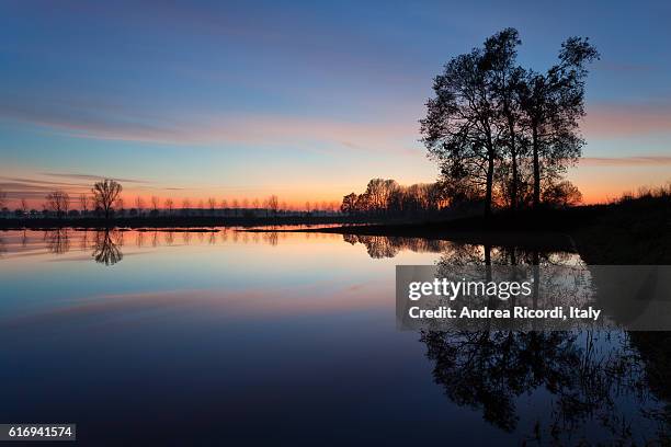 flooded countryside at twilight - pianura padana foto e immagini stock