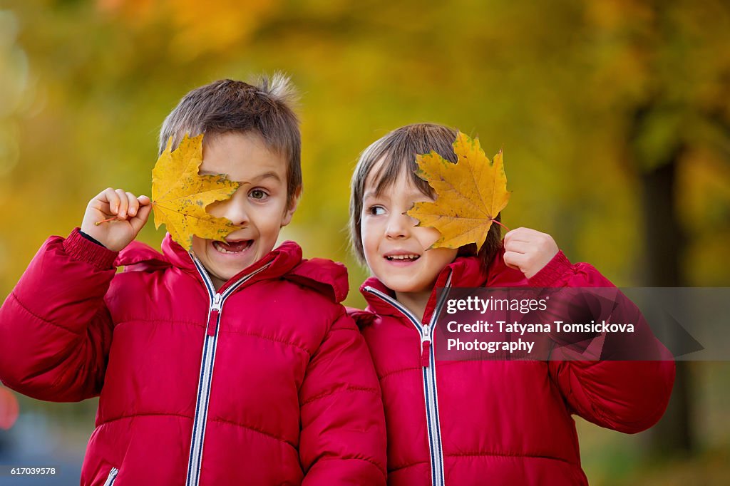 Two boys, brothers, playing in autumn alley in the park, gathering leaves, enjoying the sunny day. Children happiness concept