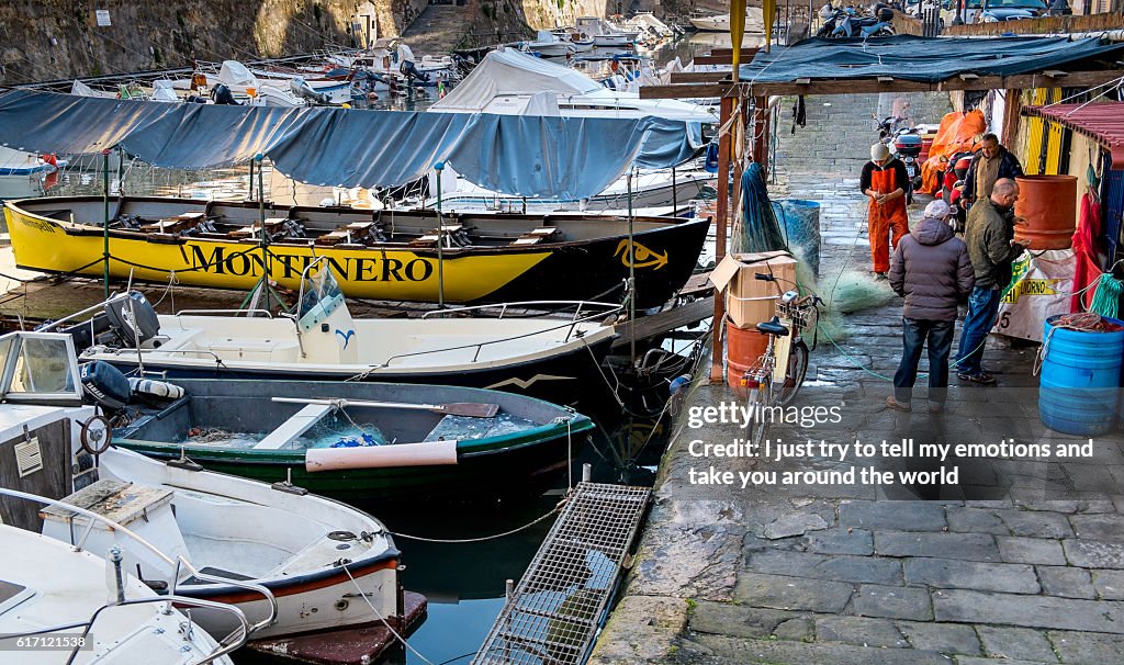 Leghorn, The district of Venice