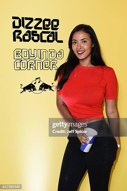 Maya Jama attends Dizzee Rascal: Boy In Da Corner Live at Copper Box Arena as part of the Red Bull Music Academy UK Tour on October 22, 2016 in...