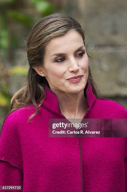 Queen Letizia of Spain visits Los Oscos Region on October 22, 2016 in Los Oscos, Spain. The region of Los Oscos was honoured as the 2016 Best...