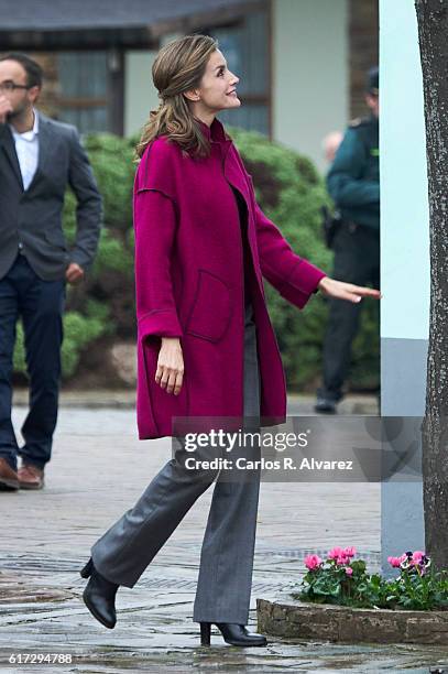 Queen Letizia of Spain visits Los Oscos Region on October 22, 2016 in Los Oscos, Spain. The region of Los Oscos was honoured as the 2016 Best...