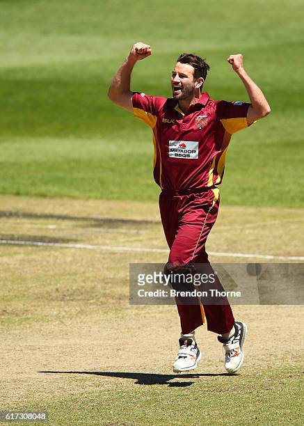 Michael Neser of the Bulls celebrates after claiming the wicket of Ed Cowan of the Blues during the Matador BBQs One Day Cup Final match between...