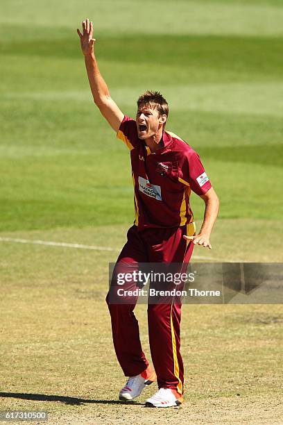 Cameron Gannon of the Bulls appeals during the Matador BBQs One Day Cup Final match between Queensland and New South Wales at North Sydney Oval on...