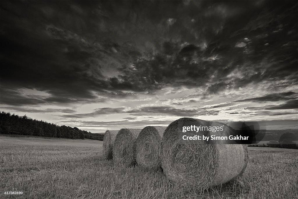 Stunning Black and White Landscape Photograph of strawbales