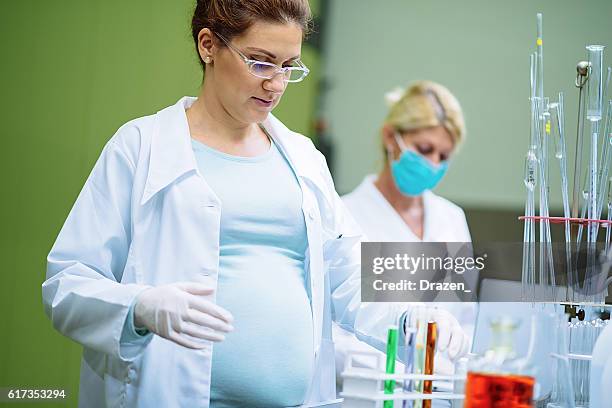 pregnant researcher in laboratory, working with chemicals - test tube rack stock pictures, royalty-free photos & images