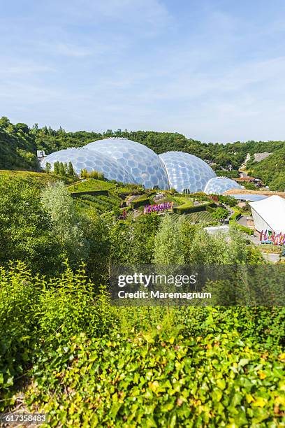 eden project - eden project stock pictures, royalty-free photos & images