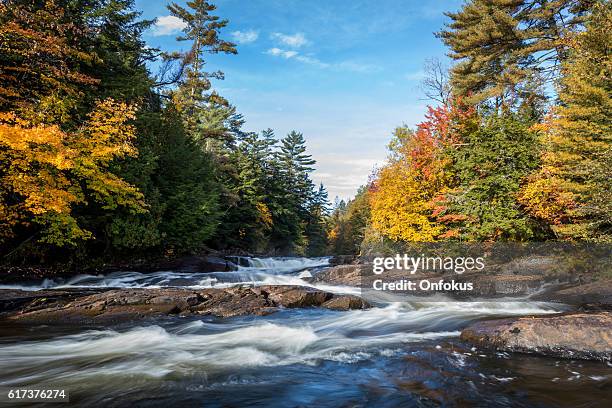 river and waterfall in autumn forest nature, quebec, canada - quebec canada stock pictures, royalty-free photos & images