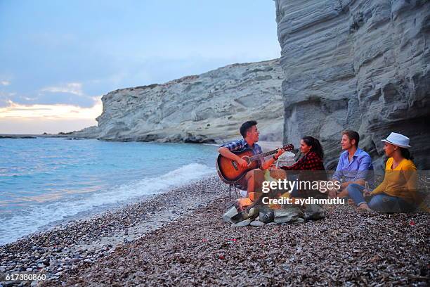 beach party - young men camping stock pictures, royalty-free photos & images