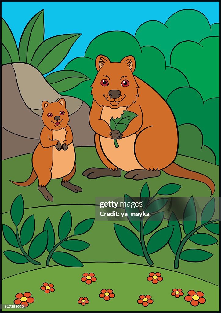 Cartoon Animals Mother Quokka With Her Little Cute Baby High-Res Vector  Graphic - Getty Images