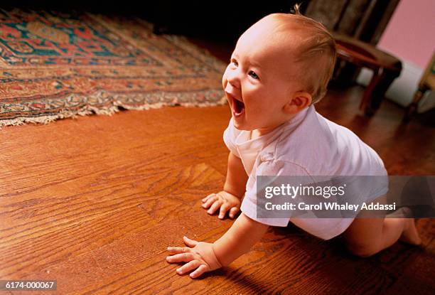 baby crawls along wooden floor - carol addassi stock pictures, royalty-free photos & images