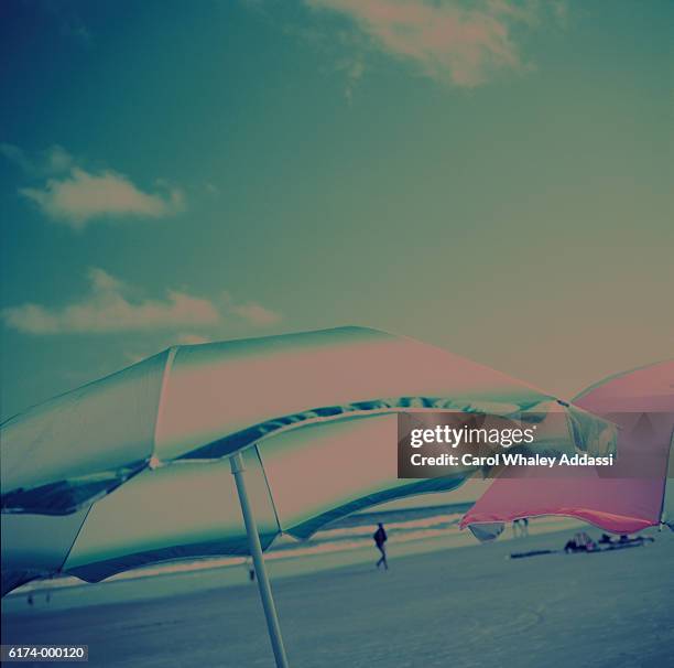 beach umbrellas - carol addassi stock pictures, royalty-free photos & images