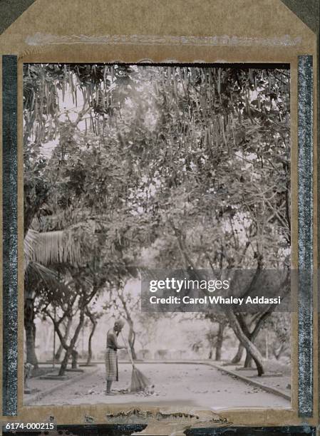 man sweeping under trees - carol addassi stock-fotos und bilder