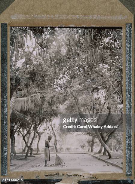 man sweeping under trees - carol addassi stock pictures, royalty-free photos & images
