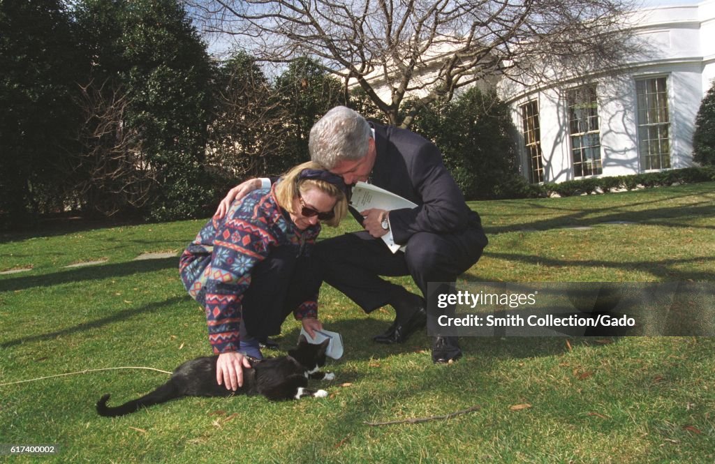 Petting Socks The Cat