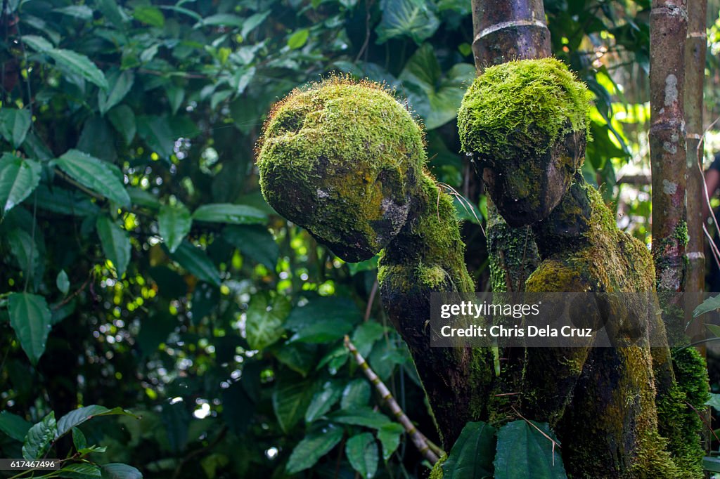 Local art statues found in Tam-awan village