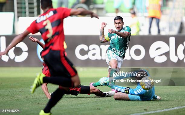 Dudu of Palmeiras scoring the first goal during the match between Palmeiras and Sport Recife for the Brazilian Series A 2016 at Allianz Parque on...