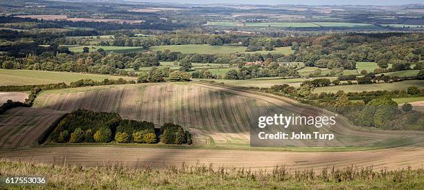 berkshire downs - berkshire downs fotografías e imágenes de stock