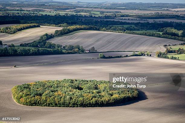 berkshire downs - berkshire downs fotografías e imágenes de stock