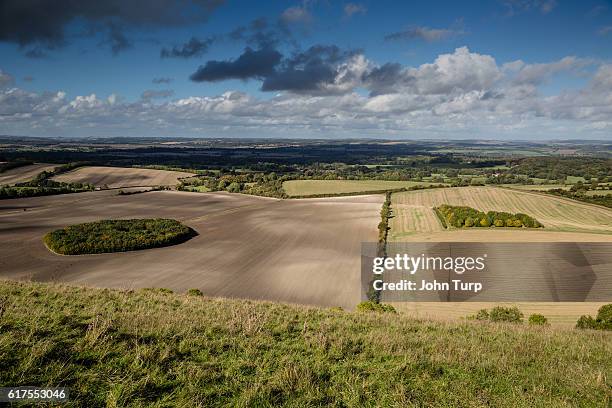 berkshire downs tree circles - berkshire downs fotografías e imágenes de stock