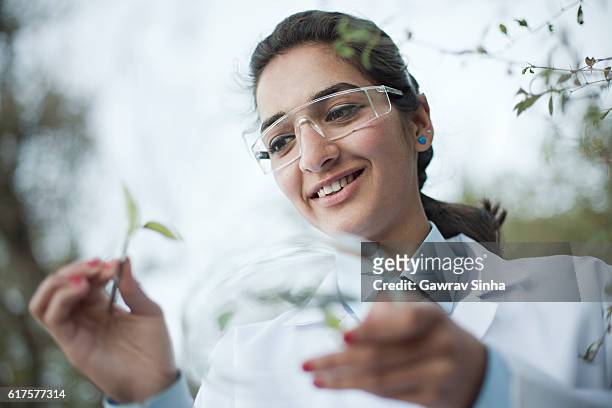 felice giovane femmina botanico raccolta campione di leafs. - herbal medicine foto e immagini stock