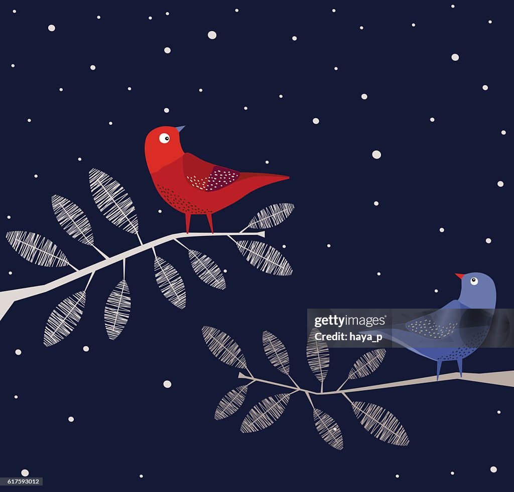 Blaue und rote Vögel auf Ast, Nacht