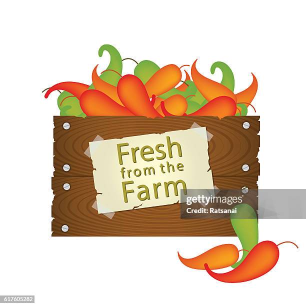 chilli - vegetable crates stock illustrations